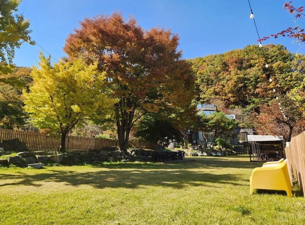 인테리어 및 시설 완비, 뷰가 예쁜 동두천 탑동동 애견카페 매물의 18번째 사진