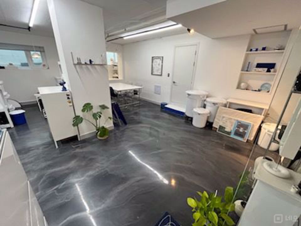 깨끗한 시설, 인테리어 완비된 망원동 도예 공방 매물의 1번째 사진