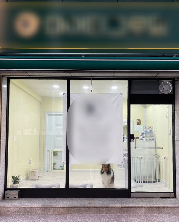 신월동 주거지역 위치, 단골 고객 많아 매출 좋은 반려동물미용실 매물의 5번째 사진