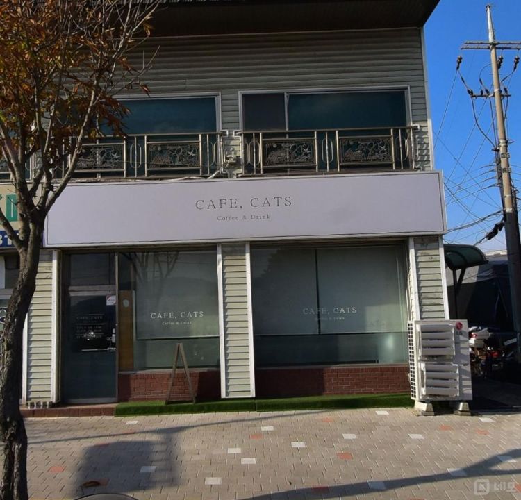 포천 송우리 고양이 카페 매물 매물의 10번째 사진