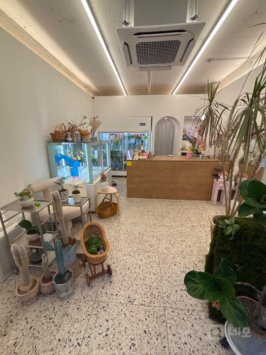 논현동 대로변 예쁜 상가 매물의 1번째 사진