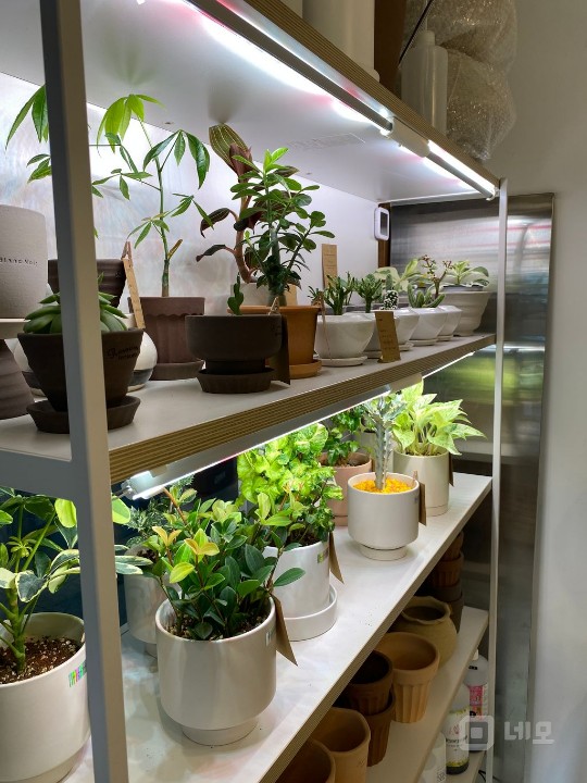 회현/명동 회사본점들 사이에 있는 꽃집이에요 매물의 5번째 사진