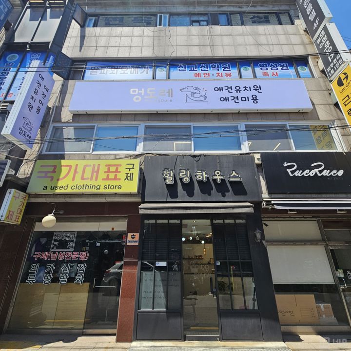 면목동 복합상권에 위치한 애견샵 매물의 8번째 사진