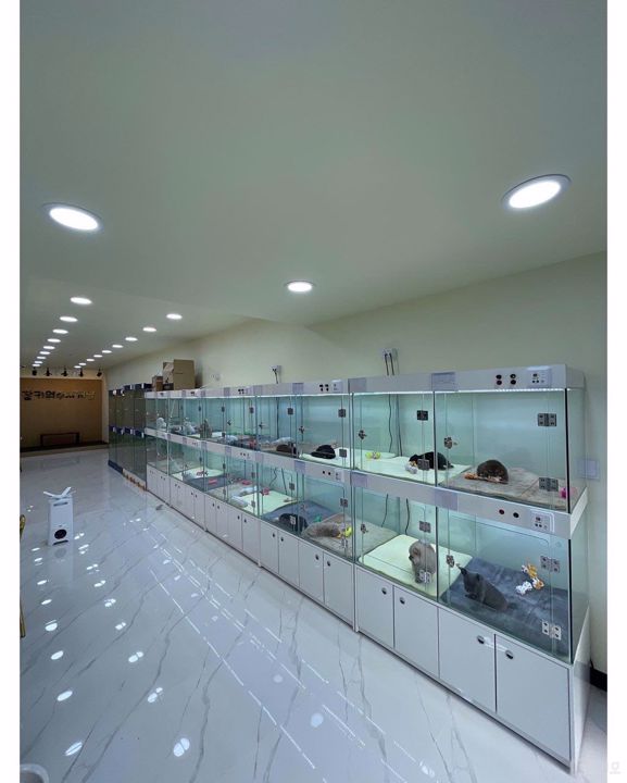 대로변 상권, 주목도 높은 원동 1층상가 매물의 1번째 사진