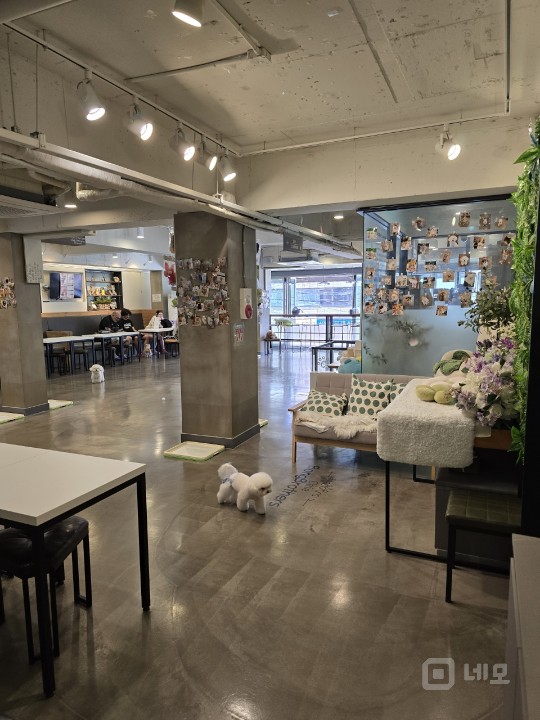 강남권 최고 애견카페(호텔.놀이방.미용)!! 매물의 7번째 사진