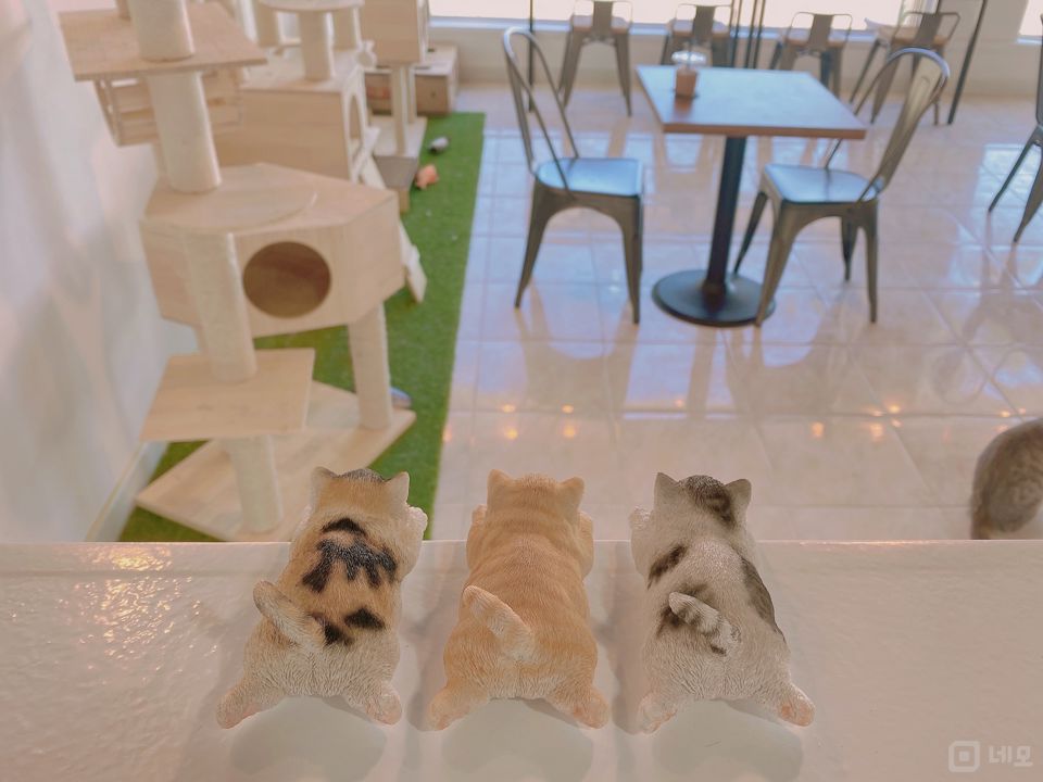 포천 송우리 고양이 카페 매물 매물의 3번째 사진