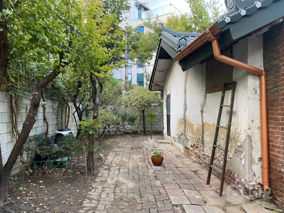 마당에 나무가 있는 단독주택형 상가입니다. 매물의 1번째 사진