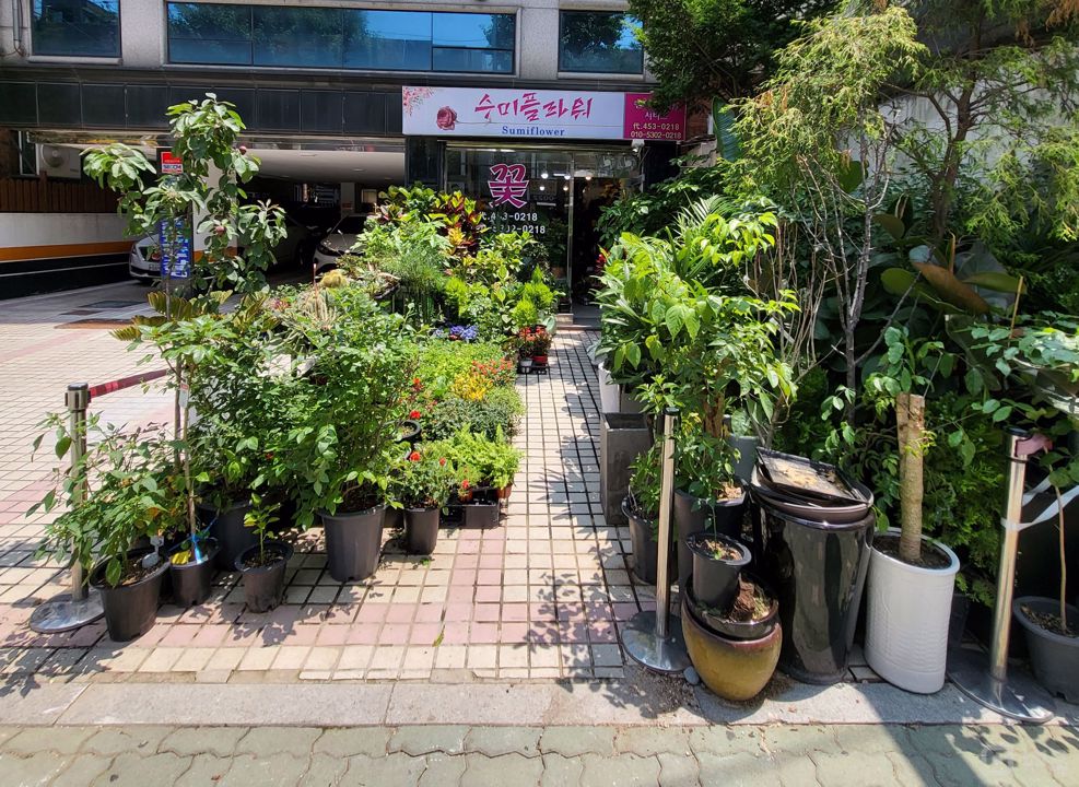 대로변에 위치한 복층구조의 꽃집,화원 매물 매물의 8번째 사진