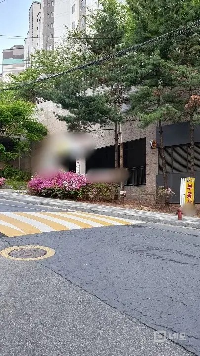 📚🎨✨ 교육과 창작, 비즈니스가 만나는 완벽한 1층 풀옵션 상가 매물의 8번째 사진