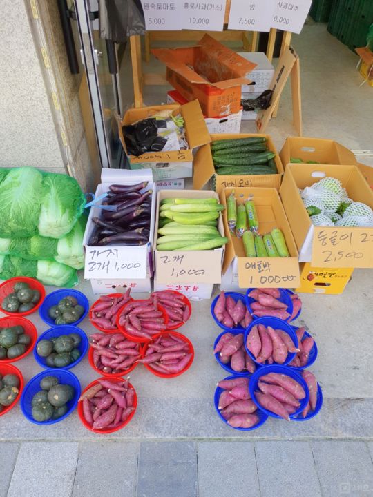 응암동 주거지역 위치, 대단지 아파트 인접해 있어 단골 많은 청과상 매물의 3번째 사진